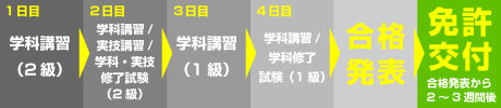 取得までのスケジュール（国家試験 免除コース）