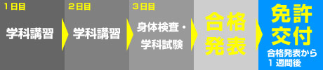 取得までのスケジュール【2級（旧5級）→1級】