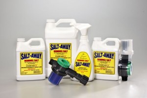 SALT-AWAY_GROUP