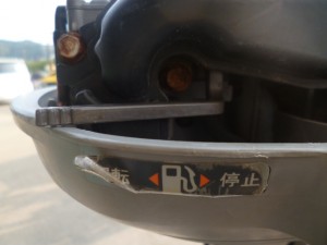 P1010097