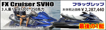 tokusen_FX-C-SVHO_bn_w350